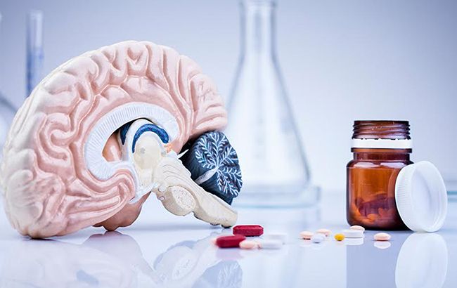 Улучшают память? Супрун опровергла мифы о "волшебных" свойствах ноотропов