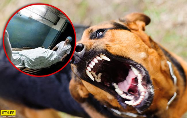 Впилась в лицо клыками: под Кропивницким из-за укуса домашней собаки умер мужчина