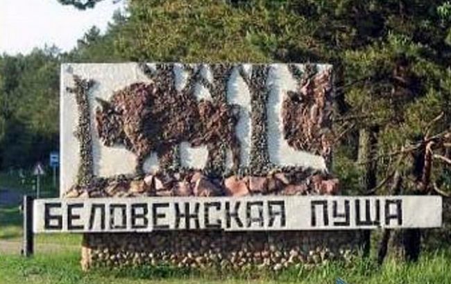 ЄС погрожує оштрафувати Польщу за вирубку в Біловезькій пущі