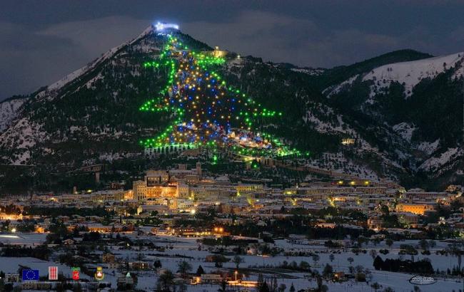 В Италии зажгли самую большую в мире елку