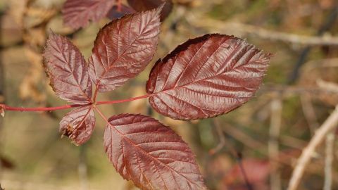 Гроза, ливень, но тепло до +24: прогноз погоды на сегодня