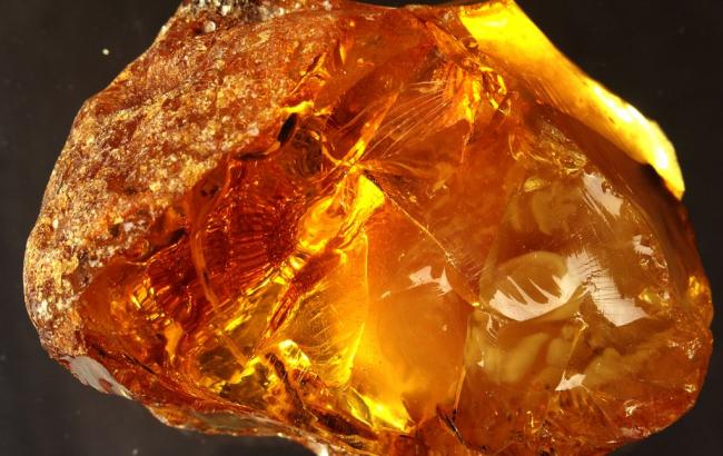 На Волині просять Раду прийняти закон про бурштин