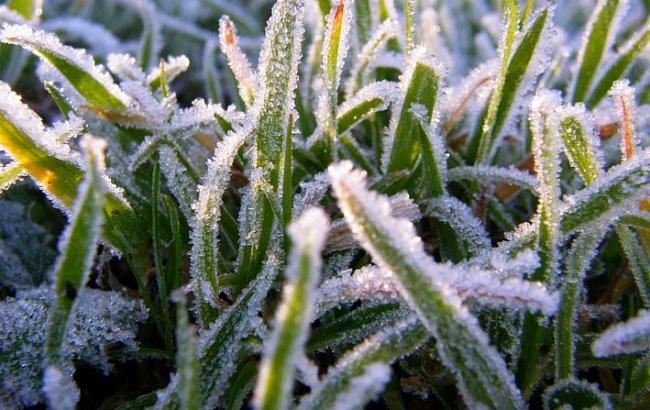 Синоптики попереджають про заморозки в окремих регіонах України