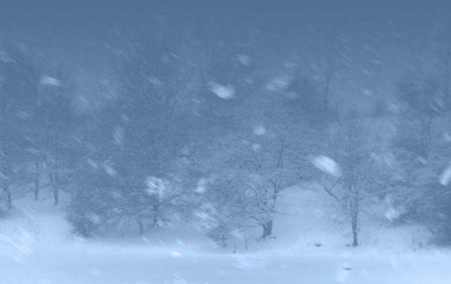 Синоптики прогнозирует сильные снегопады в Украине 6-8 января