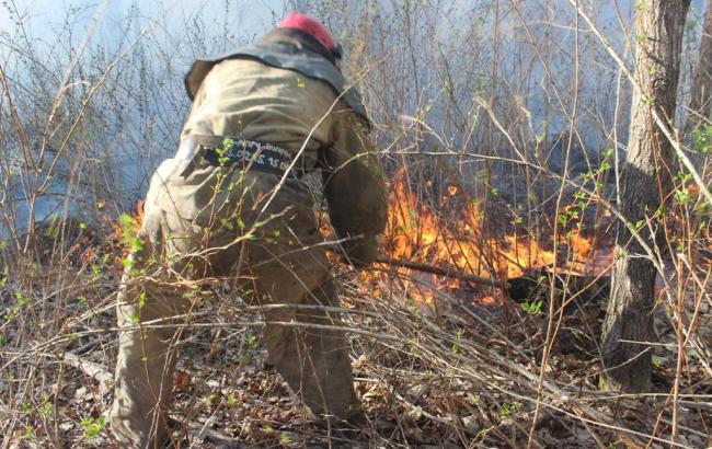 Радиация на месте пожара под Чернобылем в пределах нормы, - ГосЧС