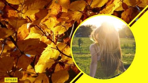 Сонячно і сухо: синоптики розповіли, яким буде початок тижня