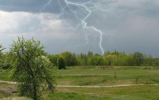 Синоптики попереджають про сильні дощі та грози в Україні 5 червня