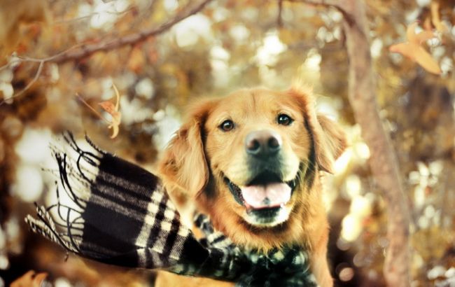 Погода на завтра: в Украине без осадков, температура до +18