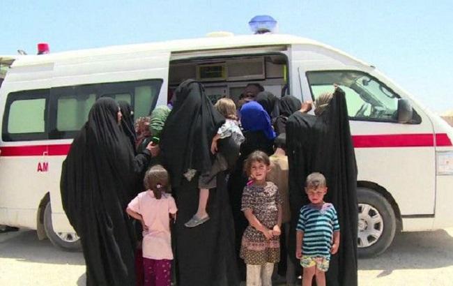 Армия Ирака создала коридор для выхода мирных жителей из Фаллуджи