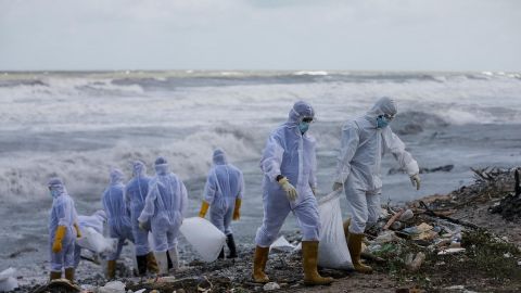 На Шри-Ланке заявили о самом сильном загрязнении пляжей