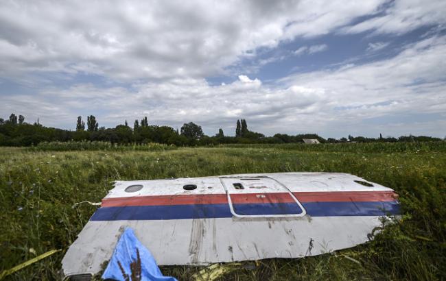Нидерланды опровергли отказ рассекречивать данные по делу MH17