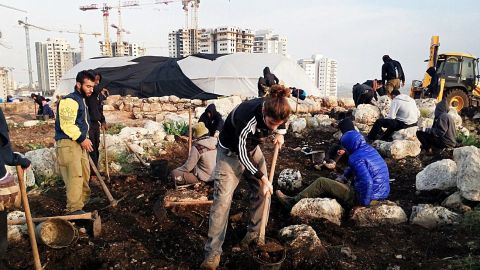 В Израиле археологи обнаружили дом возрастом 2,8 тысячи лет: раскрыт "секрет" его владельцев