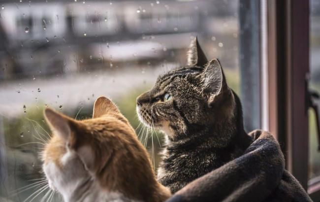 Погода на сьогодні: в Україні мінлива хмарність, місцями дощі, температура до +25