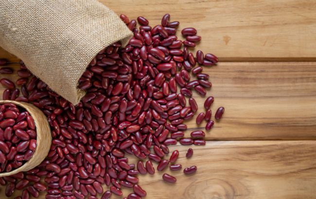 Як зберігати квасолю на насіння: важливі поради господаркам