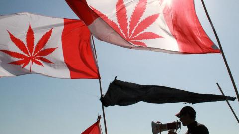 У Канаді легалізували продаж марихуани