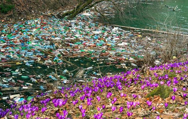 В сети шокированы фотографиями утопающего в мусоре Закарпатья
