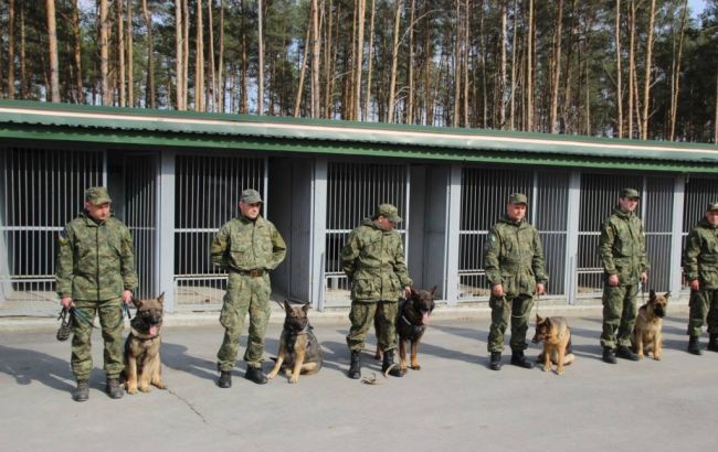 Полицейские-кинологи готовятся к обеспечению безопасности Евровидения-2017