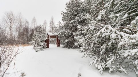 Тузлівські лимани та природа Міжрічинського. Як цікаво провести час у нацпарках взимку