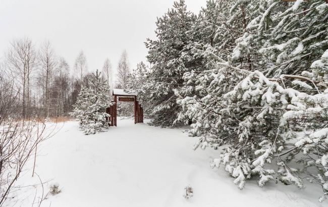 Тузловские лиманы и природа Межреченского. Как интересно провести время в нацпарках зимой