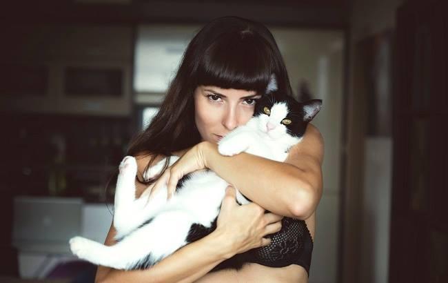 Украинцы оказались второй "котолюбивой" нацией в мире