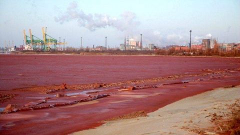 Мертва зона Причорномор'я. Чи заплатить НГЗ 9 млрд грн за екологічний збиток