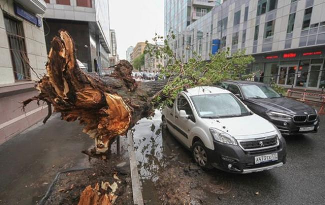 Ураган в Москве: число жертв увеличилось до 16 человек