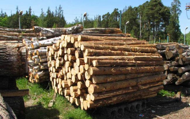Общая потребность в лесоматериалах в зоне АТО составляет 150 тыс. кубометров, - МинАП
