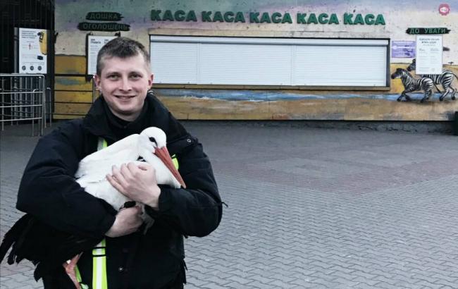 Киевские патрульные поймали аиста в центре Киева