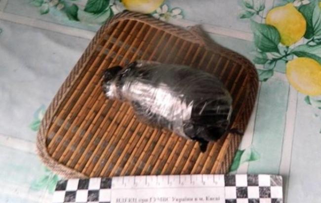 Пенсіонерка знайшла гранату у під'їзді київської багатоповерхівки
