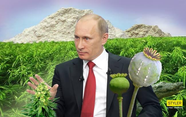 Путин и конопля как зарегистрироваться в тор браузере через телефон