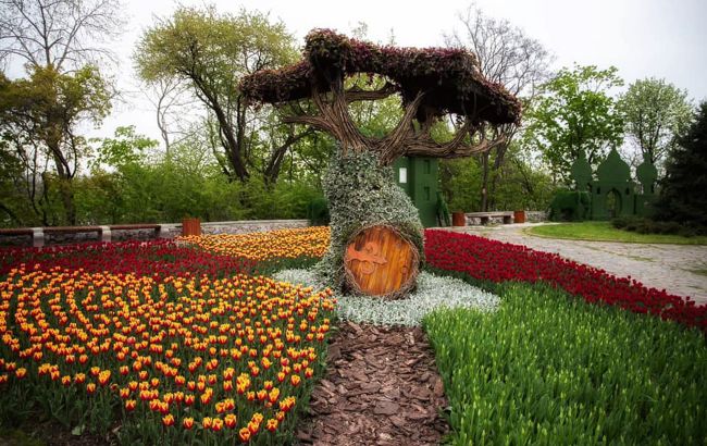 Весна по расписанию. В Киеве откроют выставку тюльпанов и нарциссов