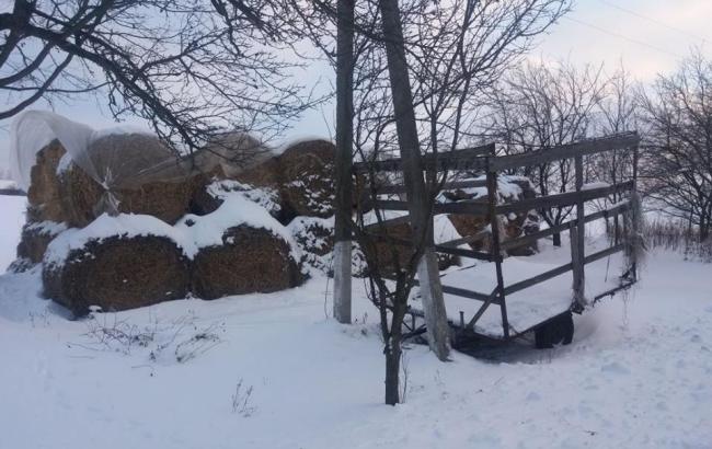 "Устала от забот": в Харьковской области горе-мать бросила двухмесячного малыша на морозе