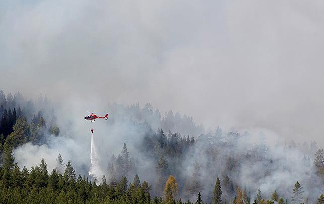 Из-за пожаров в Швеции сгорело 25 тыс. гектаров леса