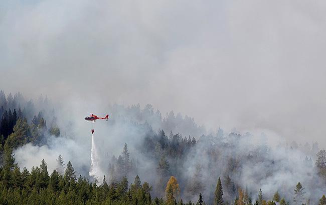 Пожары в Швеции являются следствием изменения климата, - еврокомиссар