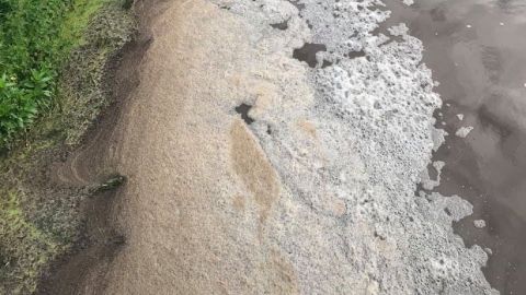 Під Києвом річка перетворилася на коричневу рідину з мертвою рибою: фото екокатастрофи