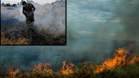 Масштабна пожежа в зоні ООС призвела до детонації снарядів: подробиці НП (відео)