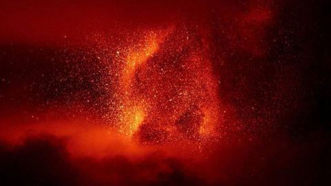 Датский "Копенгаген" хочет арендовать у "Динамо" голкипера