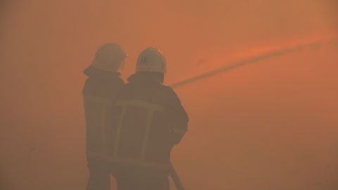 Масштабна пожежа під Миколаєвом: з'явилося відео, як рятували унікальний заповідник