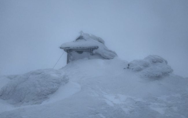 Карпаты замело: фото заснеженных гор