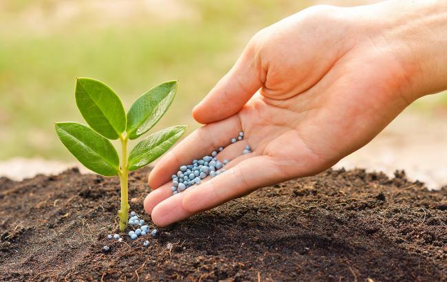 Украинские чиновники "зарабатывают" более 50 млн долларов на закупках удобрений из РФ, - СМИ