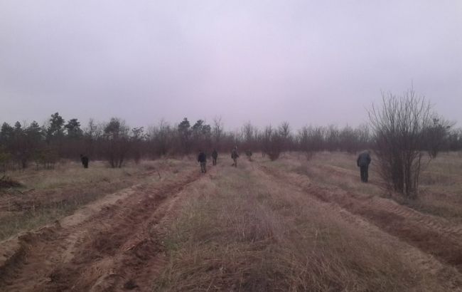 У Миколаєві на хабарі впіймали росіянина, який працює в лісовому господарства