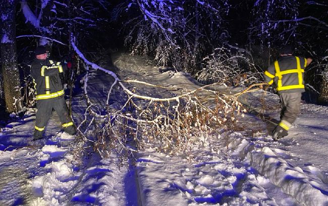 Запад Украины накрыла снежная непогода: фото и видео последствий