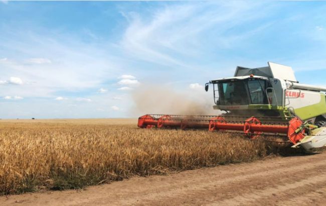 Велика частина озимих культур "Укрлендфармінг" виходить із зими в відмінному стані