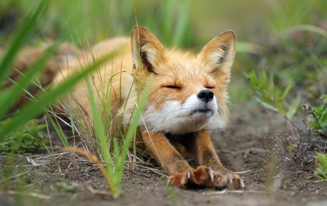 Погода на завтра: на западе Украины местами дожди, температура до +25