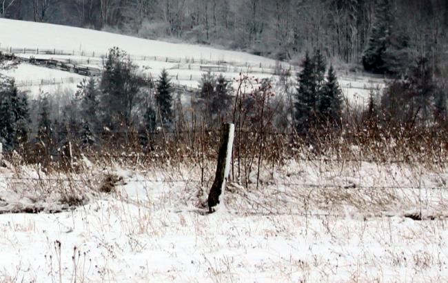 В Черновицкой области в снегу обнаружили тело экс-депутата