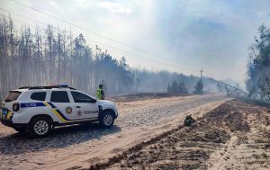 На Рівненщині спалахнула масштабна пожежа, є загроза населеним пунктам
