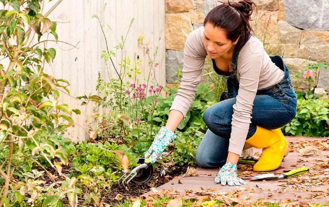 Что надо срочно убрать из сада до морозов: самая важная вещь