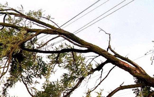 У Полтавській області негода знеструмила понад 50 населених пунктів