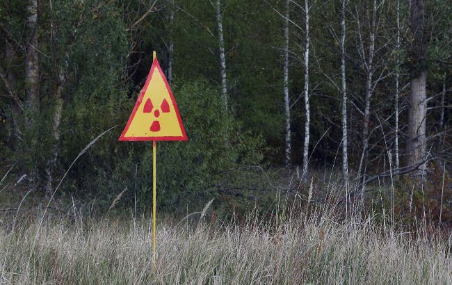 Частину земель Чорнобильського заповідника передадуть прикордонникам: у чому причина