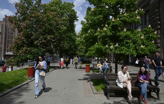 Чи зникнуть каштани з Києва: що насправді відбувається із символом міста